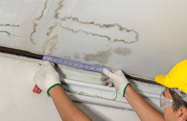 Reliable Water Damage contractor in Moncks Corner, SC by Water Damage Irwin